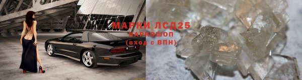 дживик Майский