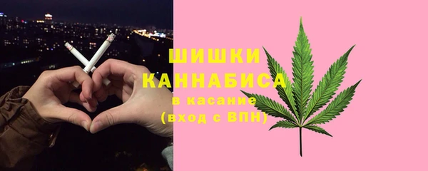дживик Майский