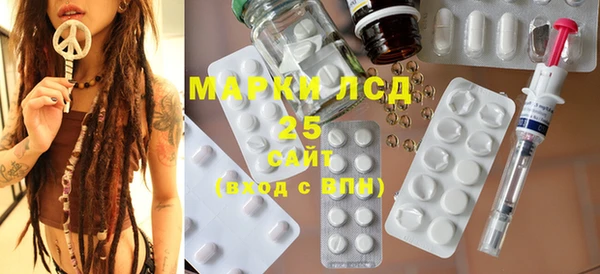 дживик Майский