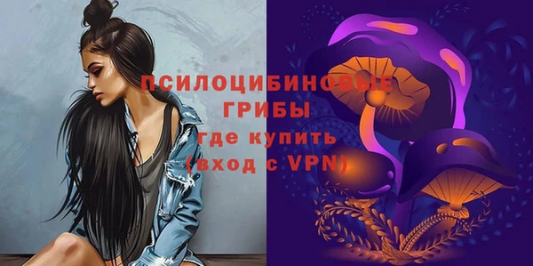 гидропоника Магас