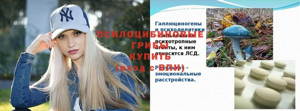 дживик Майский