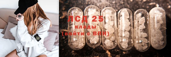 дживик Майский